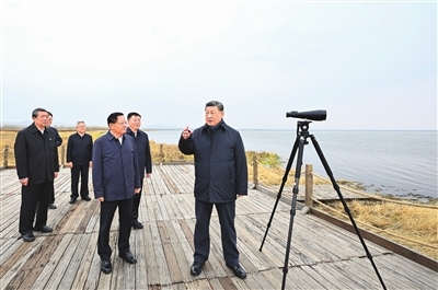 p1_b.jpg