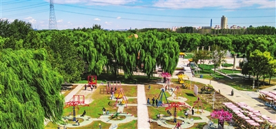 p2_b.jpg