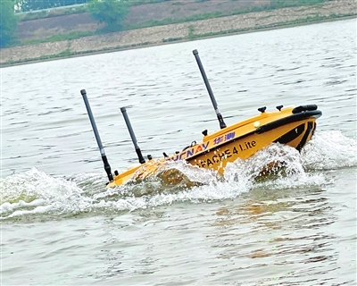 p1_b (1).jpg