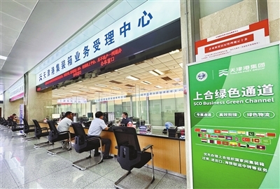 p1_b.jpg