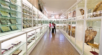 p1_b.jpg