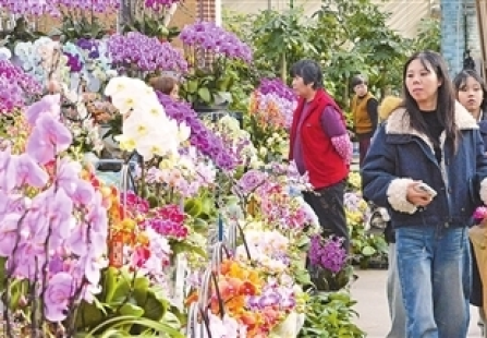 大集开市 好物“上新” 津城市场购销两旺