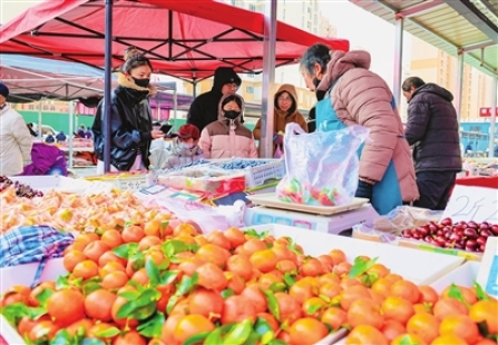 ���Ӧ�Գ�ѩ �������ӡ��������