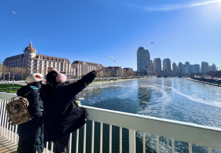 ������Ϻ�Ÿ�����ο�פ��