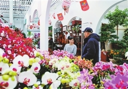 “花式”迎新春 年味拉“满格”