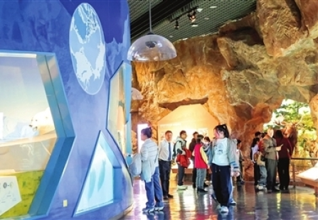 我市各大文博场馆人气旺盛