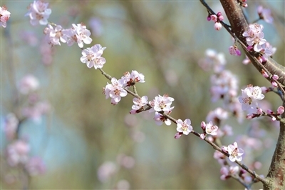 p1_b (1).jpg