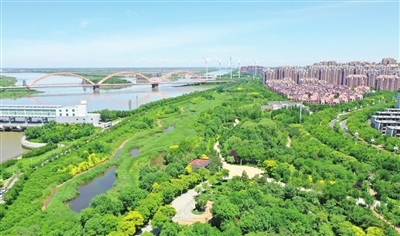 p1_b.jpg