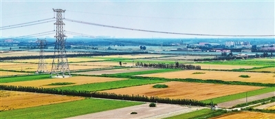 p1_b.jpg