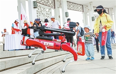 p4_b.jpg