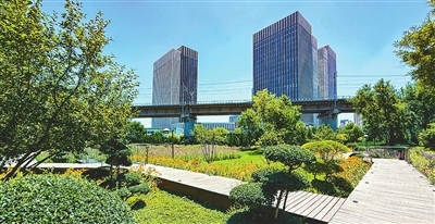 p3_b.jpg