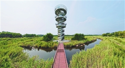p2_b (2).jpg