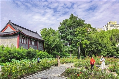 p1_b (1).jpg