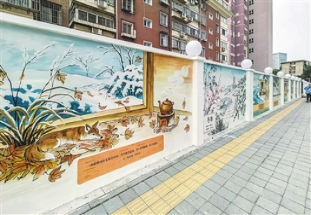 背街里巷 街净路美