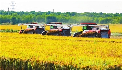 p1_b.jpg