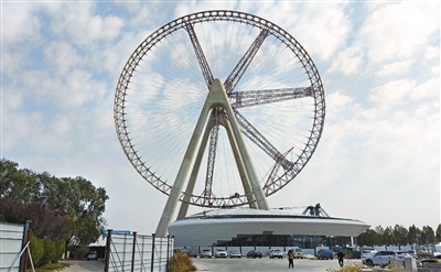 p6_b.jpg