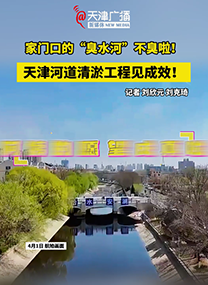 家门口的“臭水河”不臭啦！天津河道清淤工程见成效