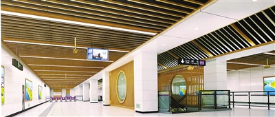 p3_b.jpg